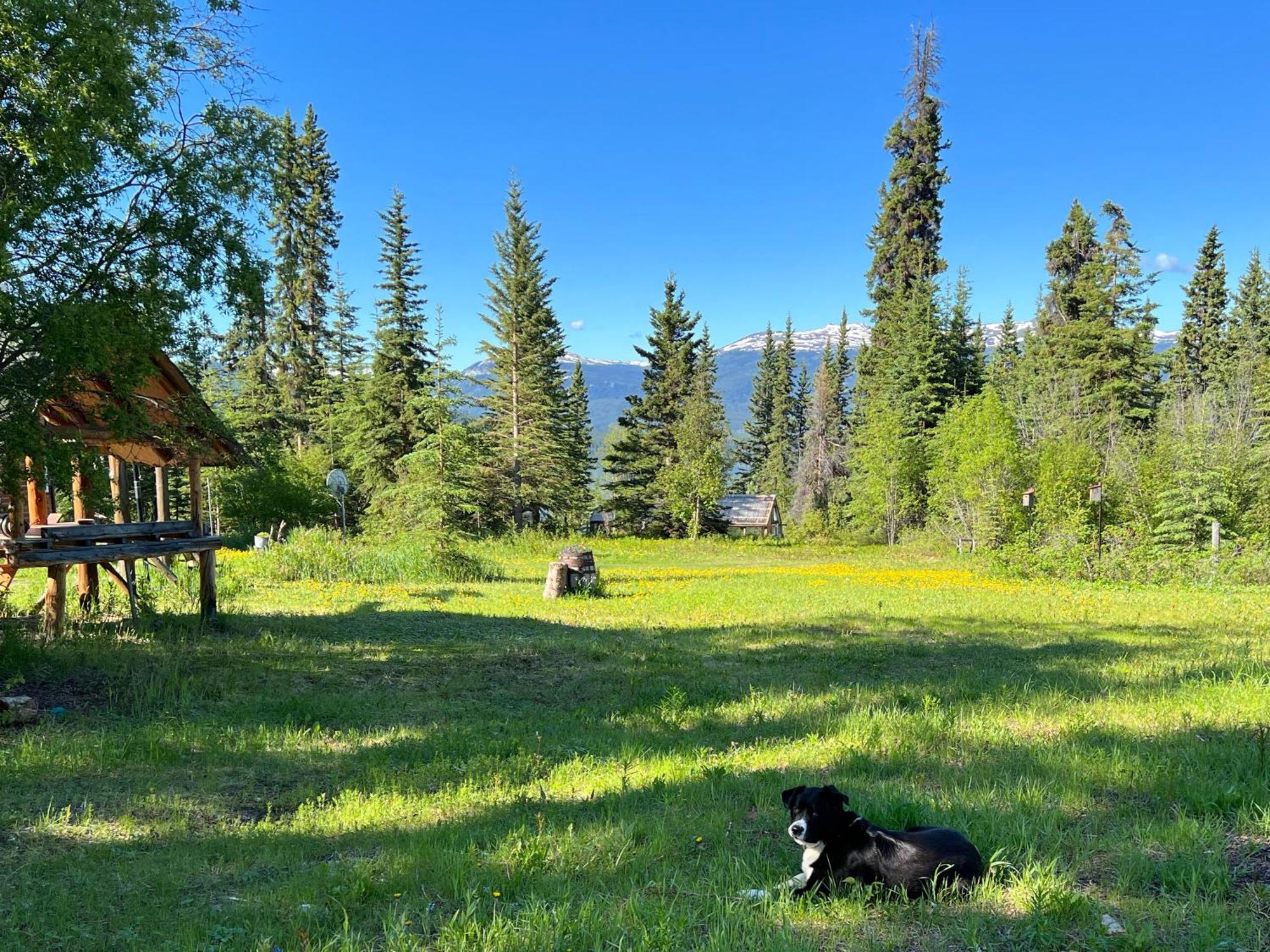 Tagish Little Atlin Lodge מראה חיצוני תמונה